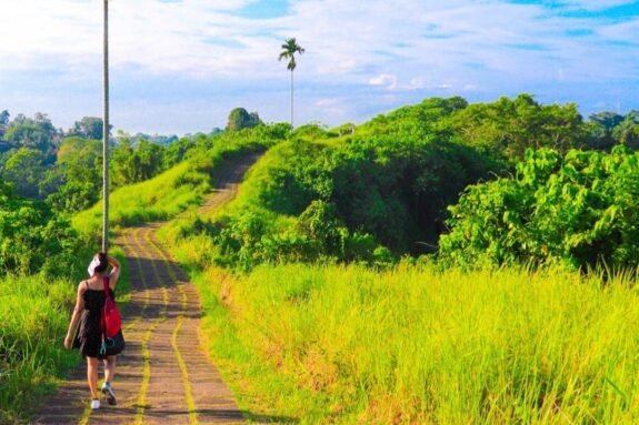 Campuhan Ridge Walk Ubud